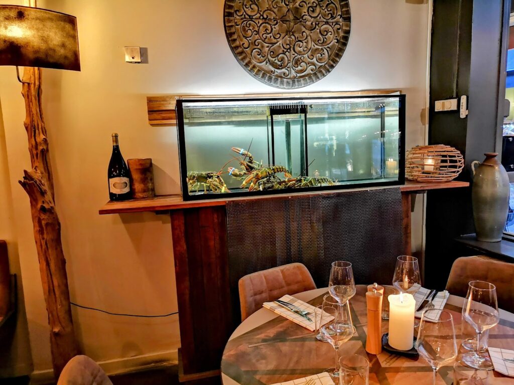 Restaurant Het Zuiden Fish & Wine – Steak & Beer - Ethiopian restaurant